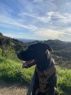 IMG_1224.jpeg