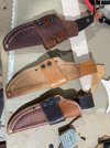 IMG_4436.jpeg IMG_4436.jpeg