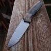 CKF FIF20.jpg