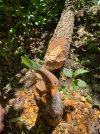 IMG_5952.jpeg