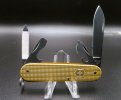 Victorinox Cadet ALOX 2019 Limited Edition Champagne Gold.JPG