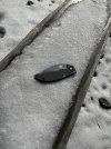 IMG_9631.jpeg