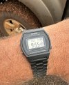 IMG_9337.jpeg