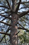 IMG_5726.jpeg