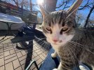 IMG_2019.jpeg