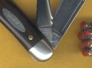 Ebony HJ6 2.jpg