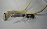 GEC Teamsters Jack c.jpg GEC Teamsters Jack c.jpg