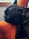 IMG_5166.jpeg