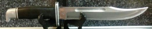CAM01095-1.jpg