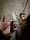 IMG_7598.jpeg