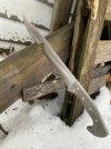 IMG_5138.jpeg
