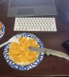 IMG_0529.jpeg