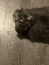 IMG_4826.jpeg