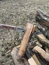 IMG_2454.jpeg