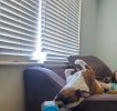 Resized_20230625_151454.jpg