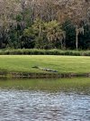 IMG_6155.jpeg