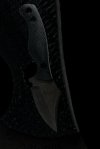 IMG_4634.jpeg