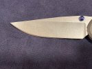 Large Sebenza blade front.jpg