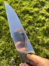 IMG_3650.jpeg