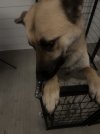 IMG_0422.jpeg