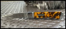 IMG_1448.jpeg