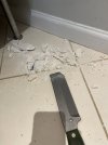 IMG_1373.jpeg