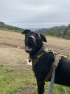 IMG_1293.jpeg