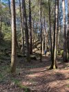 IMG_7123.jpeg