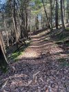 IMG_7131.jpeg