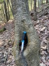 IMG_7129.jpeg