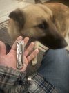 IMG_0484.jpeg