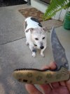 IMG_20230920_091810059.jpg