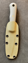 IMG_0503.png