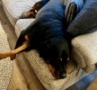 IMG_3033.jpeg