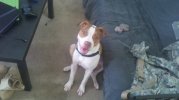 2011-07-28_17-06-19_358.jpg