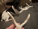 IMG_2634.jpeg