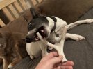 IMG_2632.jpeg