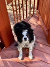 IMG_7758.JPEG
