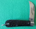 TEW Comet Pruner 3.JPG