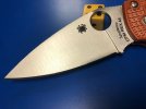 manix rex 45.jpg