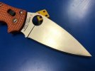 manix golden.jpg