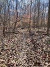 IMG_7138.jpeg