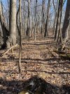 IMG_7137.jpeg