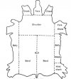 108812d1349790309-whats-your-favorite-strop-material-diagram-cut-sections-cattle-hide1.jpg