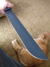 ImageUploadedByTapatalk1388509671.755987.jpg