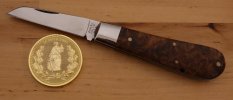 Albers Lambsfoot -15-5.JPG