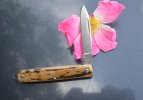 GEC 05 with rose.JPG