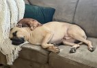 IMG_5954.jpeg