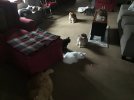 IMG_3682.jpeg
