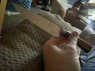 IMG_0486.jpeg